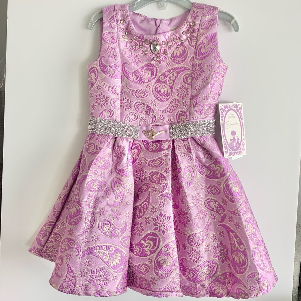 Disney Jasmine princess dress